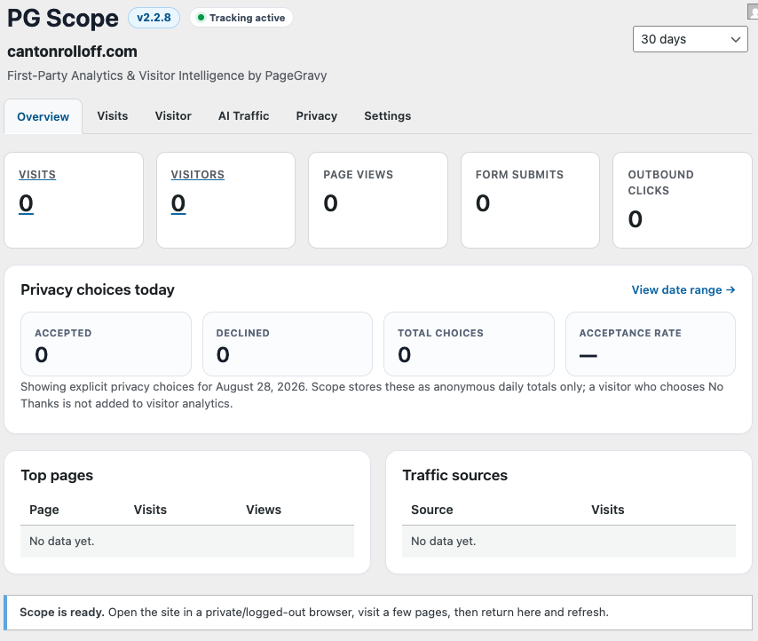 PG Scope analytics dashboard showing website visits, visitors, page views, traffic sources, AI referral traffic, and activity trends.