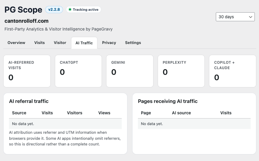 PG Scope AI traffic report showing website referrals from AI platforms such as ChatGPT, Gemini, Perplexity, Claude, and Copilot.
